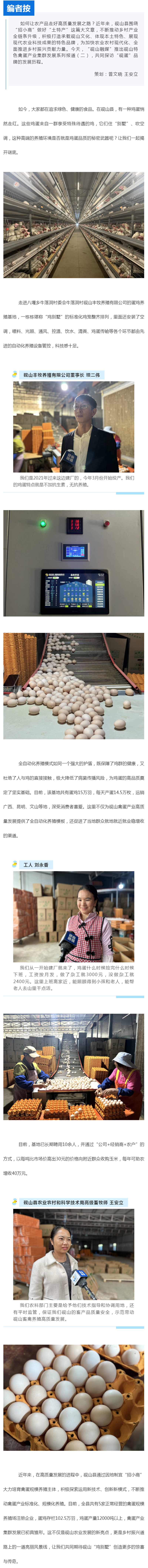 高质量发展乡村行丨住“别墅”育“金蛋”，砚山这群鸡不得了.jpg