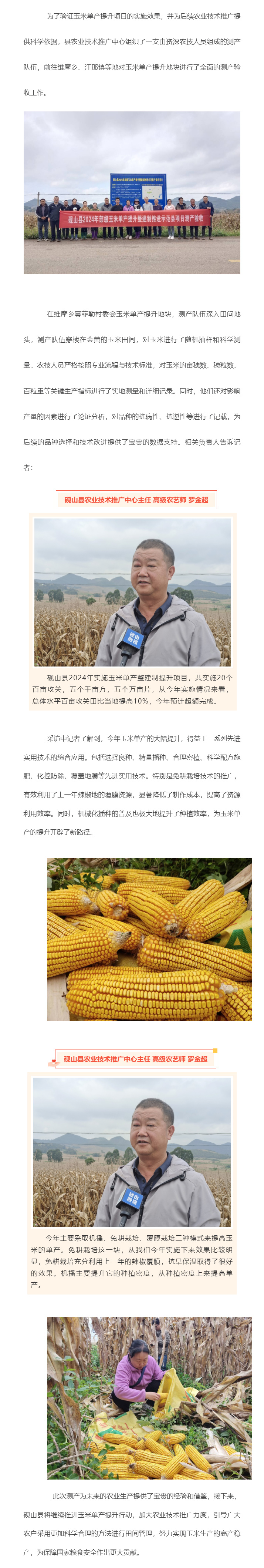 高质量发展乡村行丨砚山县玉米单产显著提升，农业技术推广见成效.jpg